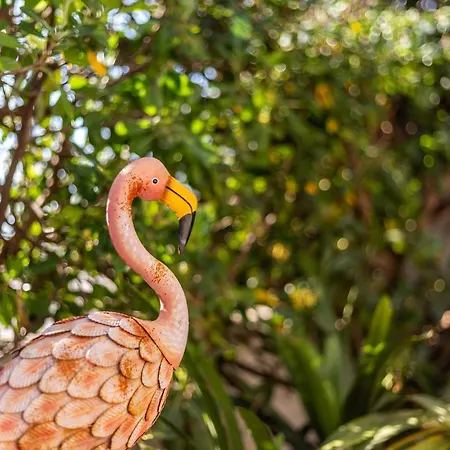 Londres 30 Pollença